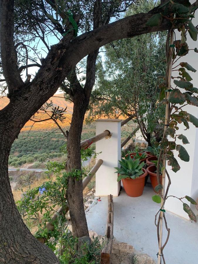 Cortijo Samadhi Guest House Lanjarón Eksteriør bilde