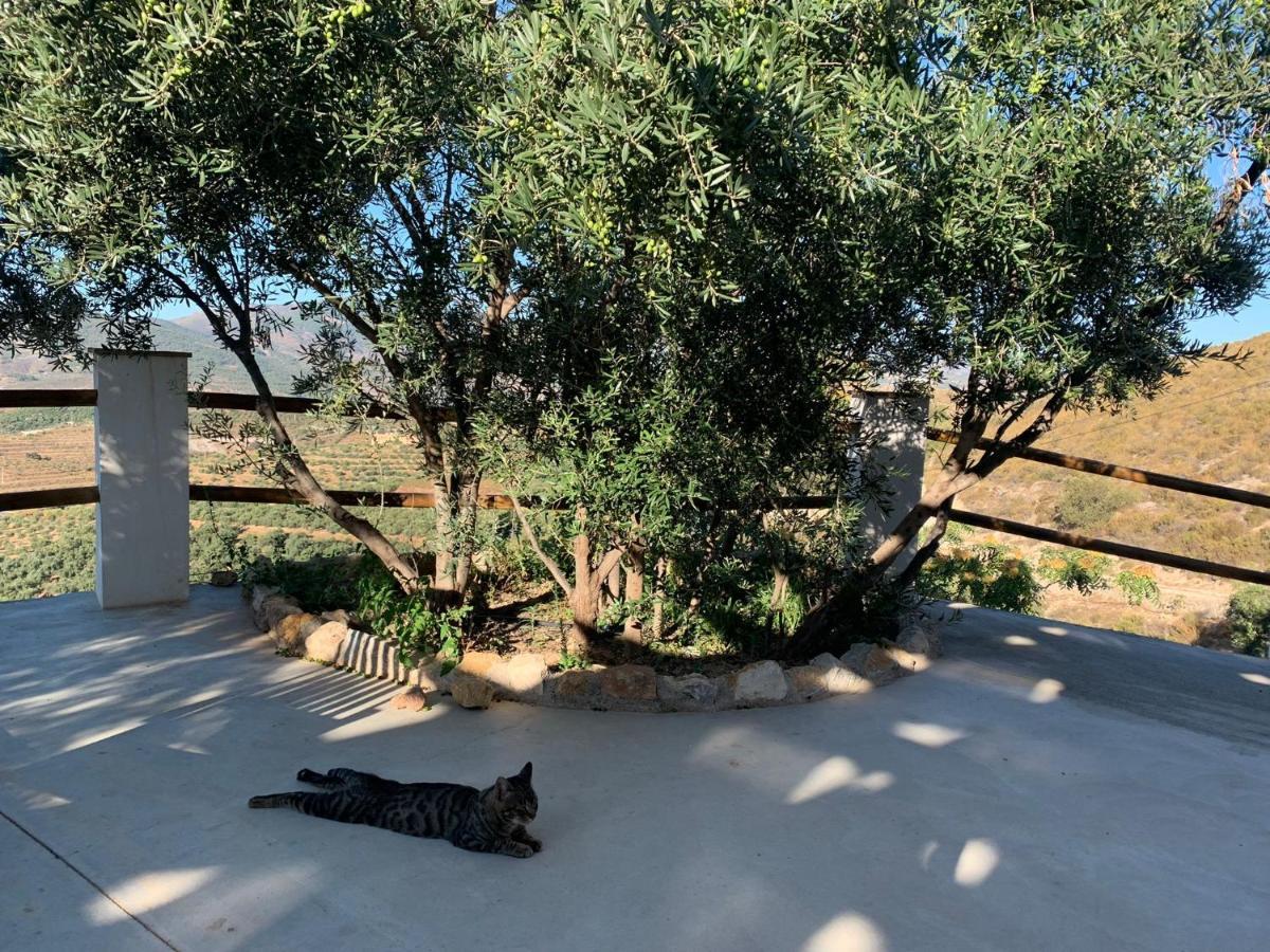 Cortijo Samadhi Guest House Lanjarón Eksteriør bilde